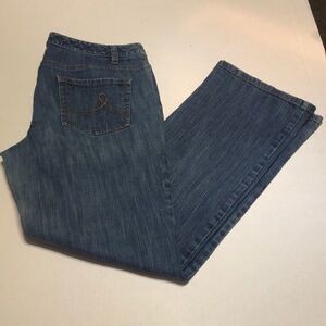 Ann Taylor Loft Jeans